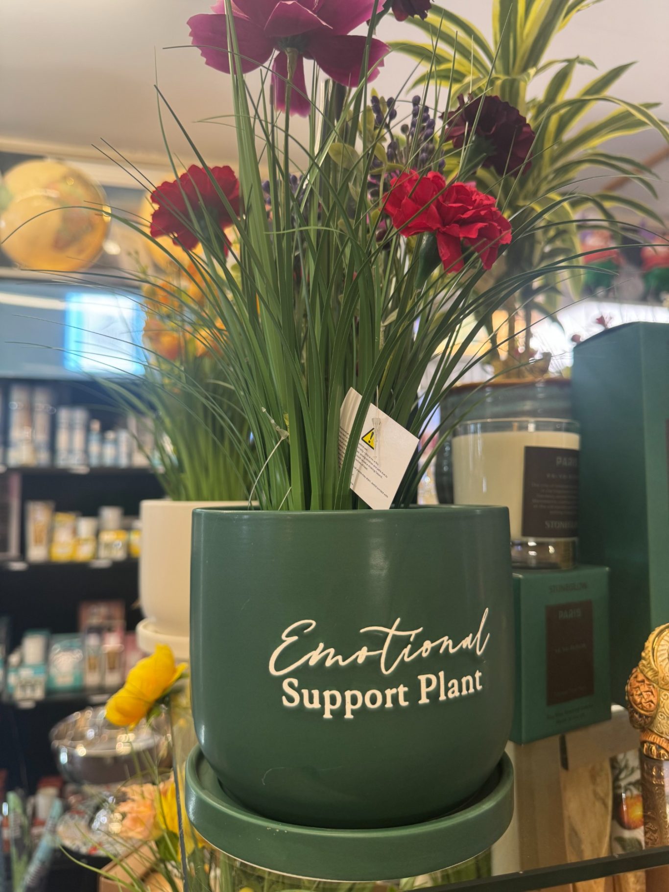 Emotional Support Plant –