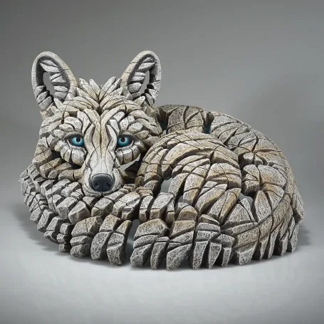 ED49W - Curled Up Arctic Fox